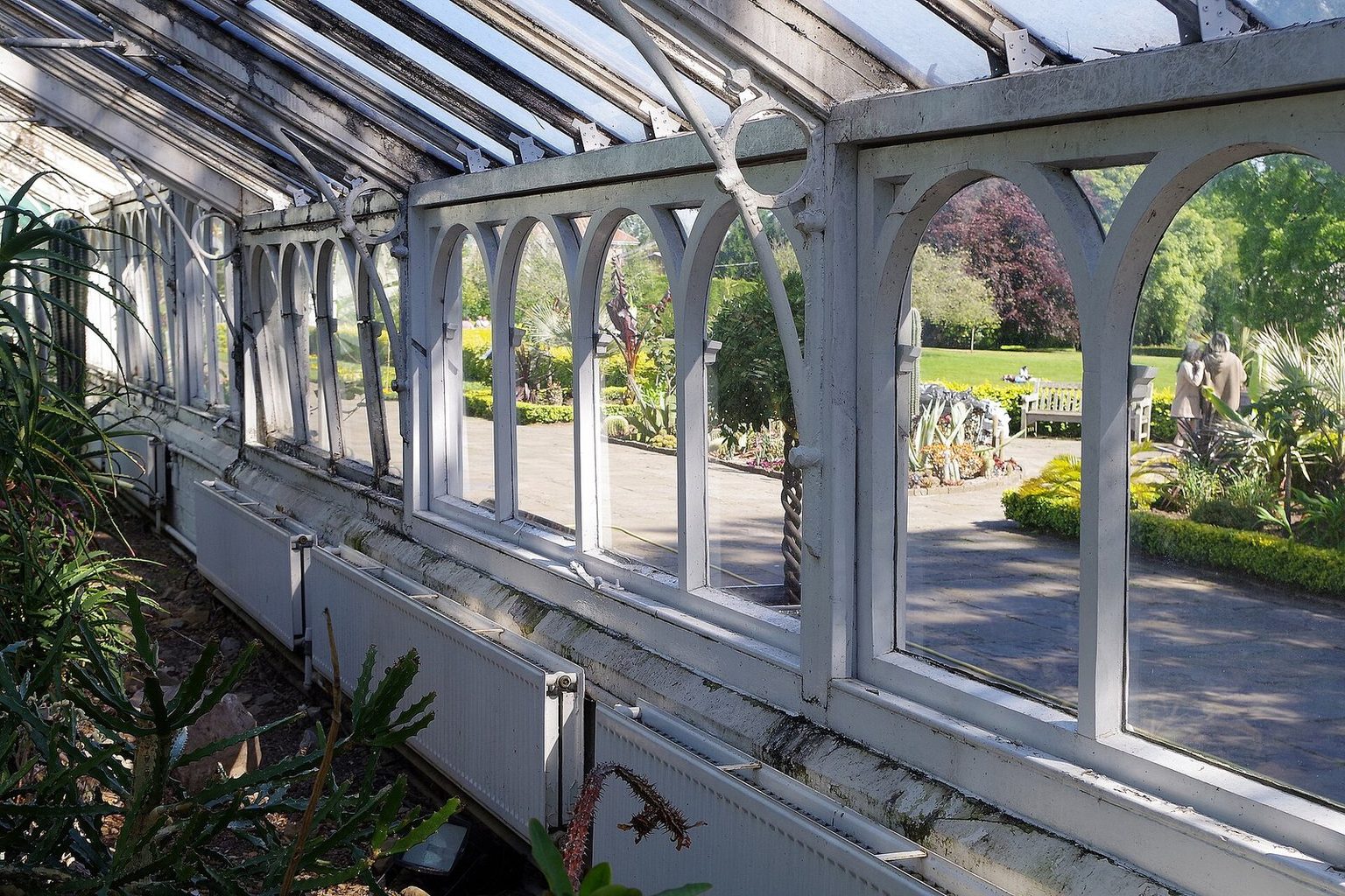 The glasshouse at Birmingham Botanical Gardens